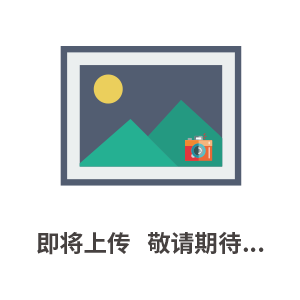 鍋爐水溶解氧測定儀DOG-3082/208F